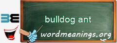 WordMeaning blackboard for bulldog ant